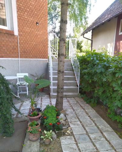 Sandrea I Apartment