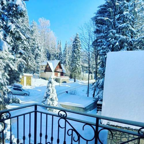 Apartman Andrejic