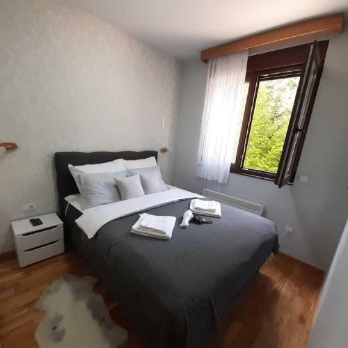 Apartman Andrejic