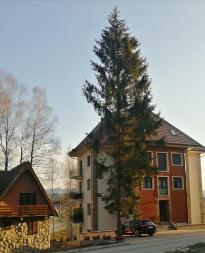 Apartman Andrejic