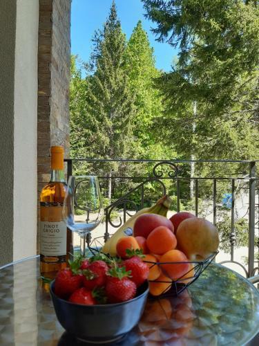 Apartman Andrejic