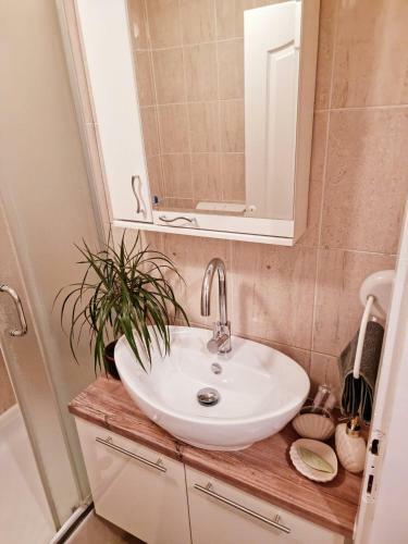 Apartamento Monte Home Center