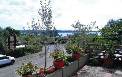 Apartment Vojkova Ulica M-973