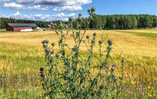 Nice Home In Dalskog With 2 Bedrooms