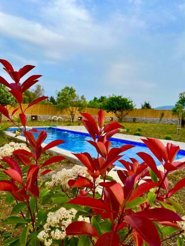 Bi Dat�a Tatil Evleri Akdeniz