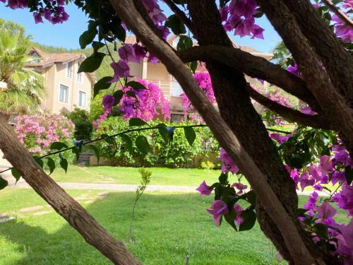 2 Br Rental Apartment In Gocek