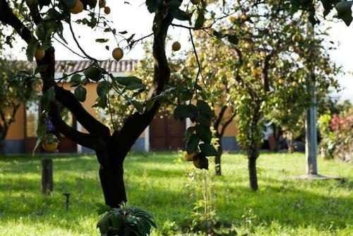 Agroturismo La Terra Del Mezzo