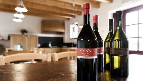 Agroturismo Agriturismo Ronchi R�