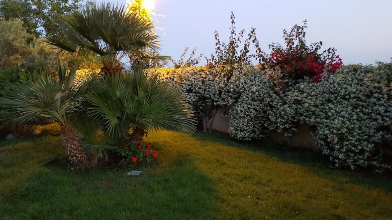 Bed & Breakfast La Suite Del Faro