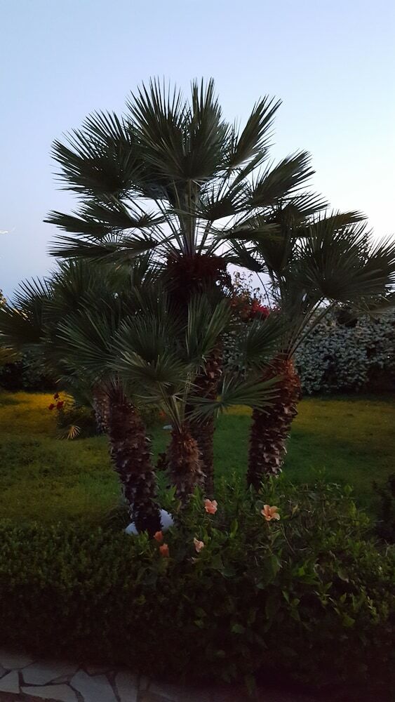 Bed & Breakfast La Suite Del Faro