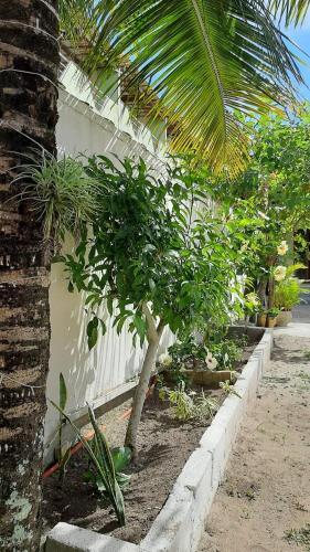 Casa No Per�, Bem Pr�ximo Das Praias E Shopping.