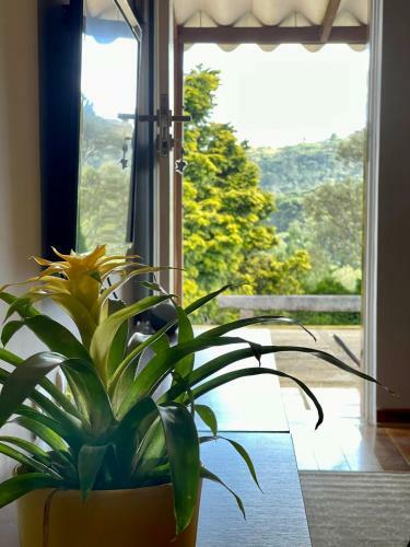 Hostal Pinho Bravo Lodge