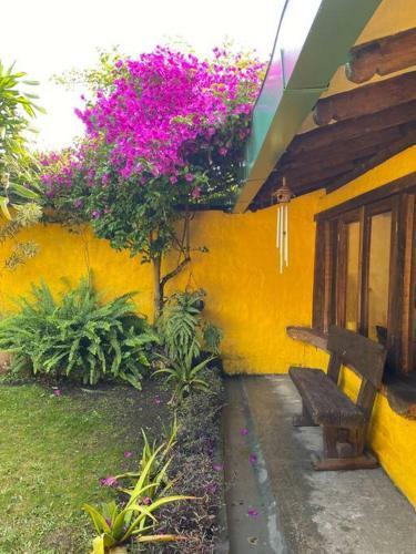 Las Margaritas Casa Boutique En Filandia Quind�o