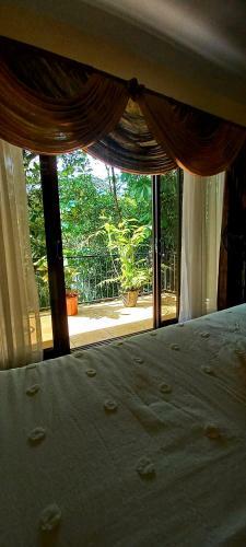 Jungle House