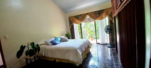 Jungle House