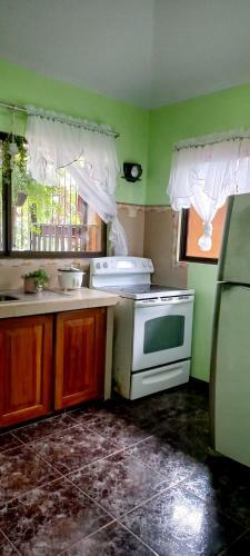 Jungle House