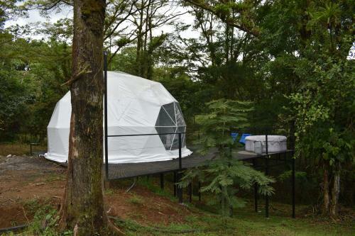 Bed & Breakfast Roble Coral Glamping