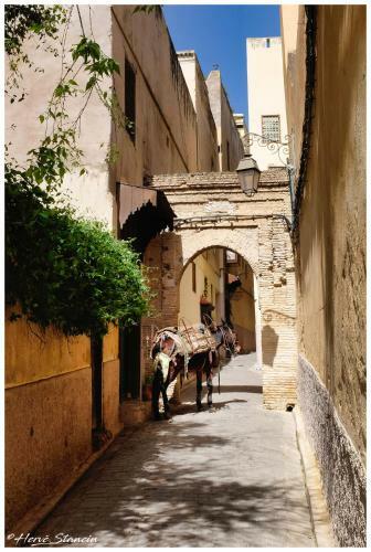 Hostal Riad Layalina Fes