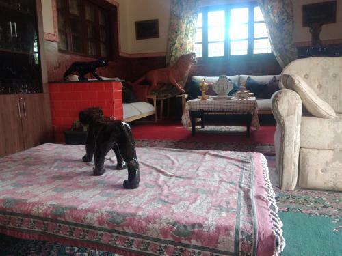 Hostal Amillat Valley