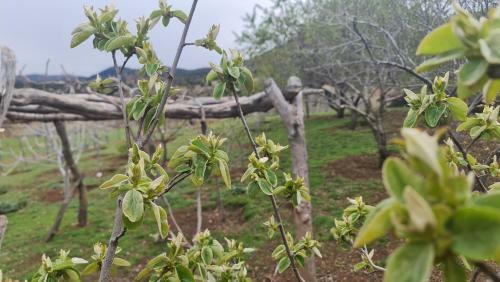 Agroturismo Gite Ain Bechar