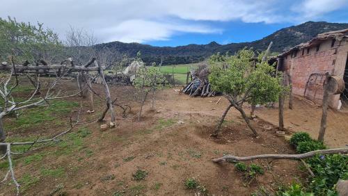 Agroturismo Gite Ain Bechar