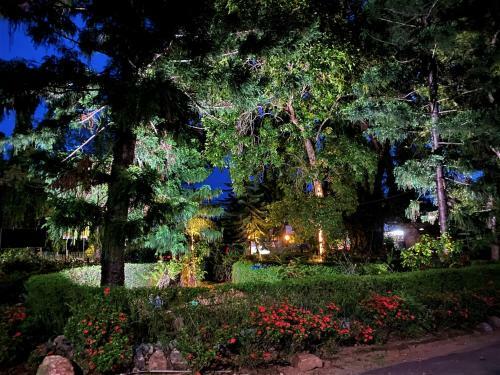 Hotel Thanayama Monaragala