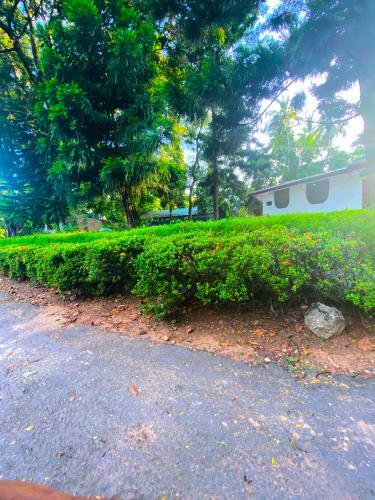 Hotel Thanayama Monaragala