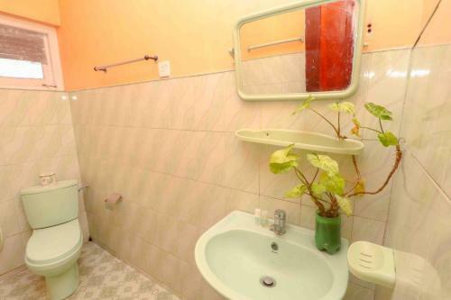 Hostal Paradise Cottage