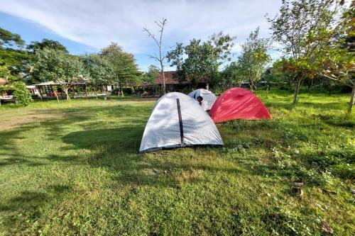 Camping Ground Kalakijo Village