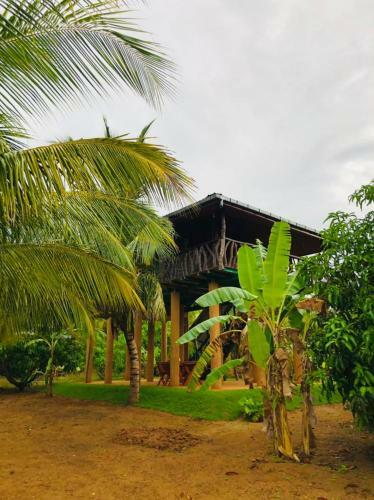 Yala Wild Lodge