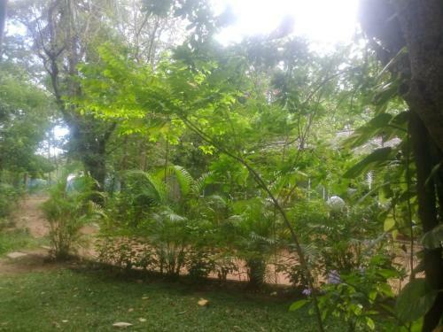 Hotel Arunalu Guest House