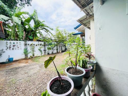Apartamento Homey Place With Garden View