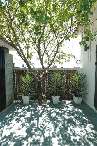 Apartamento Herb Plant Garden Villa