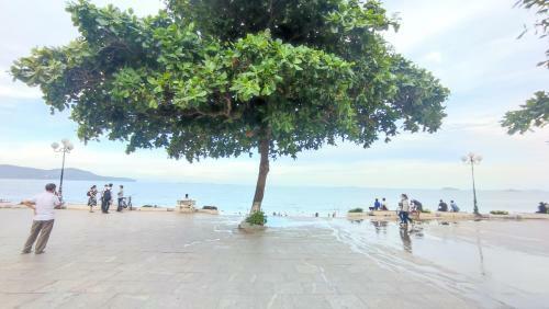 Apartamento Flc Sea Tower Studio 2 Gi??ng ?�i 49m2 View Bi?n