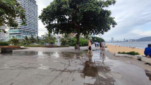 Apartamento Flc Sea Tower Studio 2 Gi??ng ?�i 49m2 View Bi?n