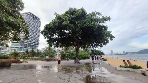 Apartamento Flc Sea Tower Studio 2 Gi??ng ?�i 49m2 View Bi?n