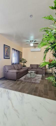 Super Condo With Fiber Optic Internet
