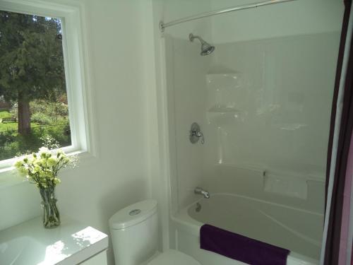 Bed & Breakfast Enchanted Rainforest Guesthouse