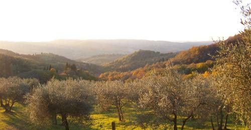 Agroturismo Antico Borgo Di Sugame