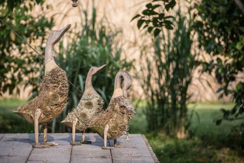 Glamping Canonici Di San Marco