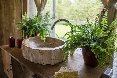 Glamping Canonici Di San Marco
