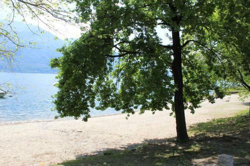 Apartamento Appartamento Con Terrazza A Due Minuti Dal Lago