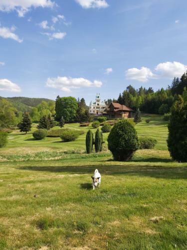 Hotel Villa Golf Cihelny