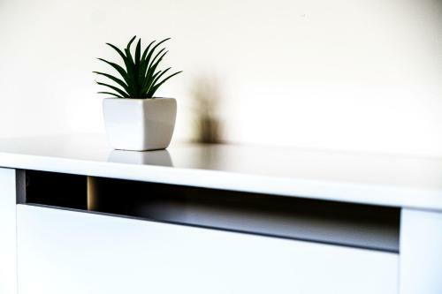 Moda Stays - Abdon Avenue Apartments