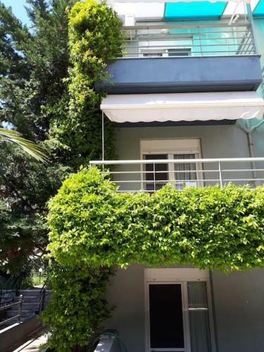 Fanari Summer House 2 Floors