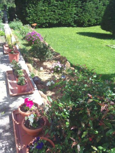 Hostal Hotel Kassandra