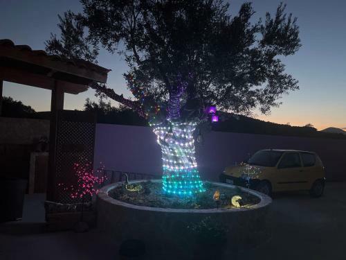 Apartamento Ecological Studio Flat In Kalyvia Thorikou Greece