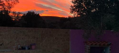 Apartamento Ecological Studio Flat In Kalyvia Thorikou Greece