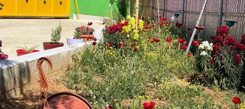 Apartamento Ecological Studio Flat In Kalyvia Thorikou Greece