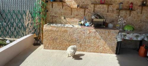 Apartamento Eco Studio Flat Kalyvia Thorikou Greece